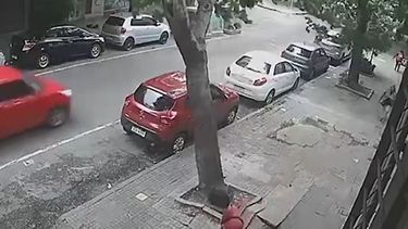 Video: el momento en que un árbol cayó sobre dos autos en la zona de Cordón