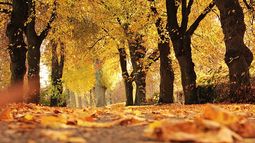 Viernes según Inumet.