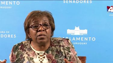 Comisión de DDHH del Senado aprobó Ley de Paridad