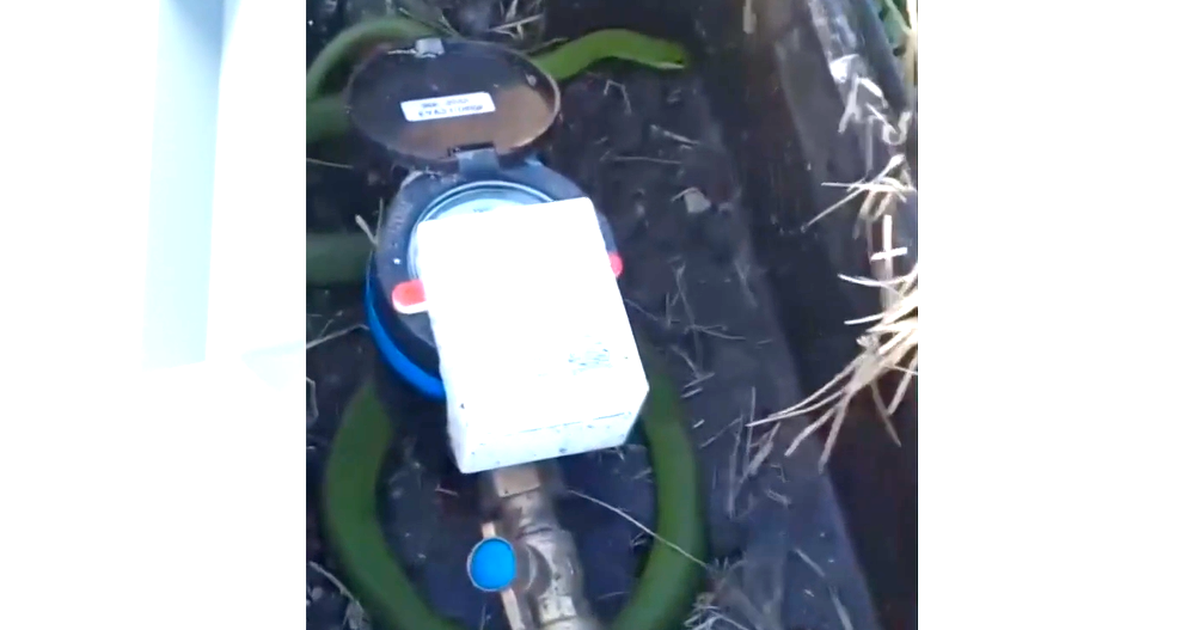 Un trabajador tomaba el consumo de OSE cuando se topó con un algo inesperado: una culebra dentro del medidor