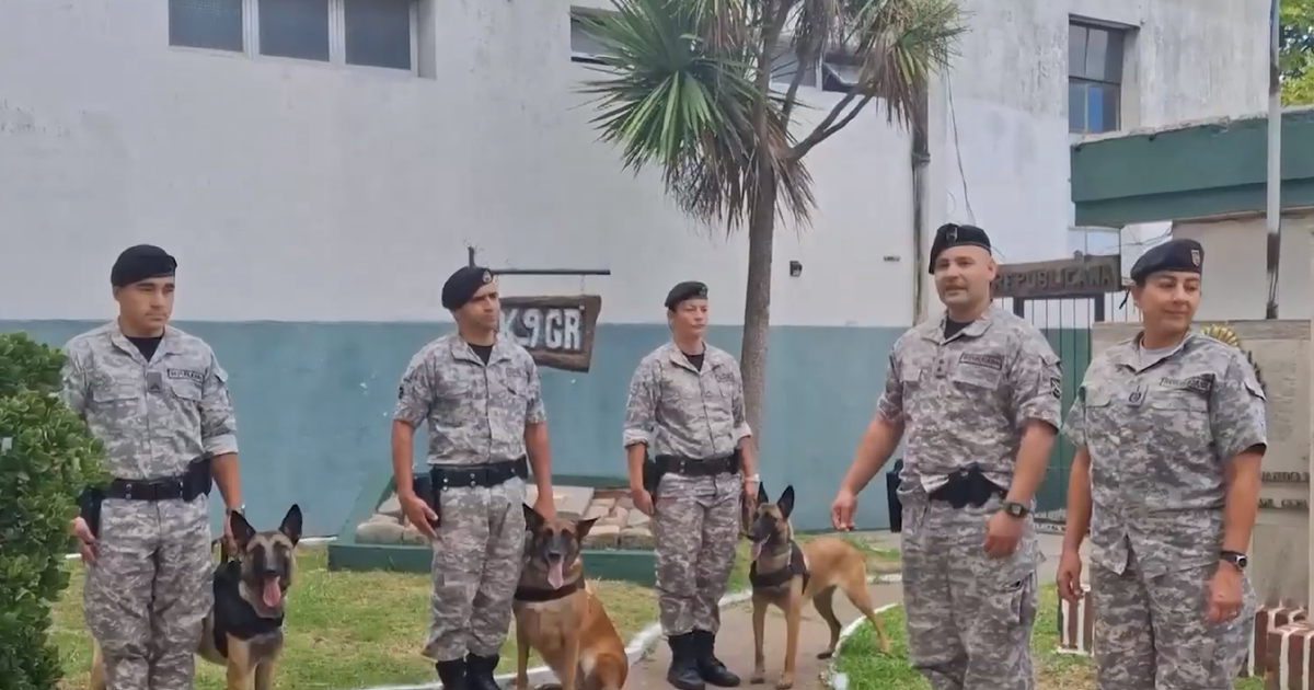 Tres perros de la Policía fueron retirados del servicio y adoptados por familias