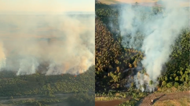 Incendio forestal.