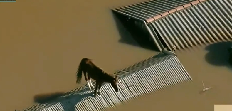Impactantes imágenes de las inundaciones en el sur de Brasil