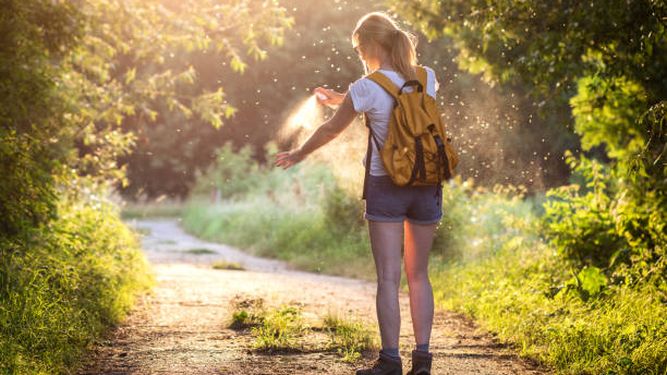 Dengue y Zika en Uruguay.