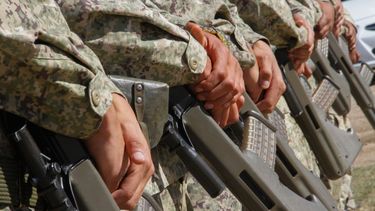 Polémica por salarios en Fuerzas Armadas en Rendición de Cuentas.