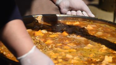Canelones: votan investigadora por municipio de La Floresta