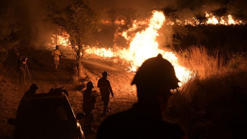 Incendios arrasan humedal argentino en Corrientes y causan daños incalculables