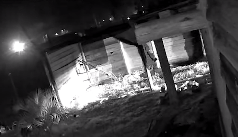 Investigan ataque con bomba molotov contra la casa de una edila en La Paloma