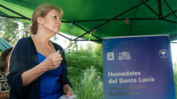 Cosse frente a críticas por seguridad: El problema es complejo y no lo resuelve un solo ministerio