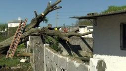 Fuerte temporal afectó la localidad de 18 de Mayo: Fue una desgracia con suerte, dijo alcaldesa