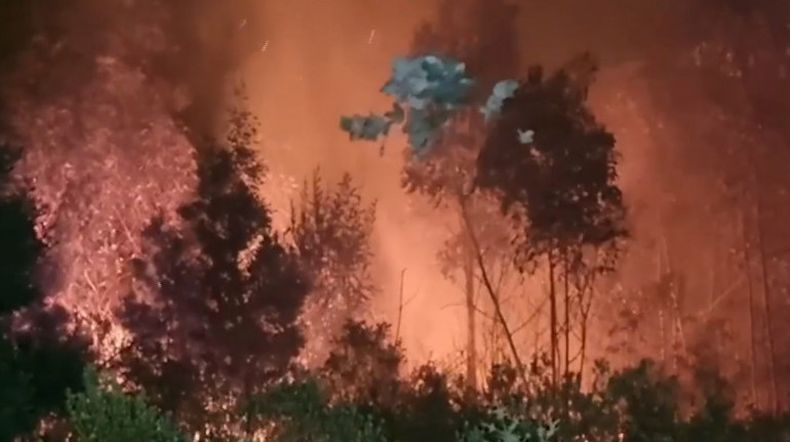 Se registró un incendio en el Cerro del Toro en Piriápolis