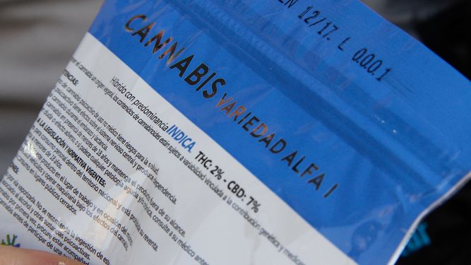 ¿Se viene el turismo cannábico? Esto dicen las futuras autoridades