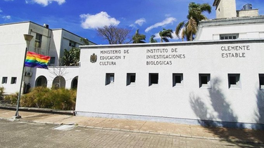 El Ministerio de Educación y Cultura (MEC) ordenó quitar una bandera de la diversidad de la fachada del Clemente Estable.