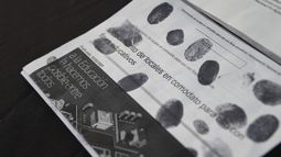 Referéndum LUC: Corte Electoral numeró más de 795.000 firmas