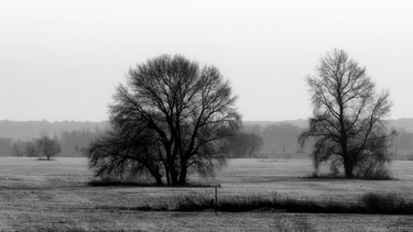 Lunes según Inumet.