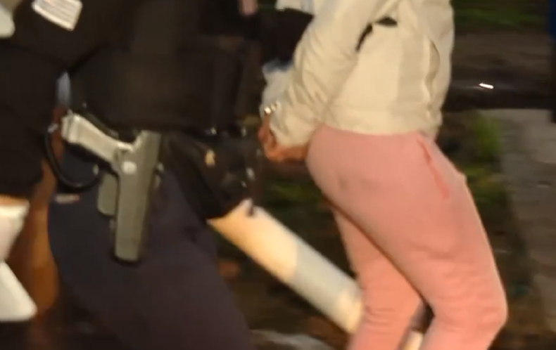 Detuvieron a una mujer e incautaron sustancias estupefacientes y dinero durante un allanamiento en Casabó