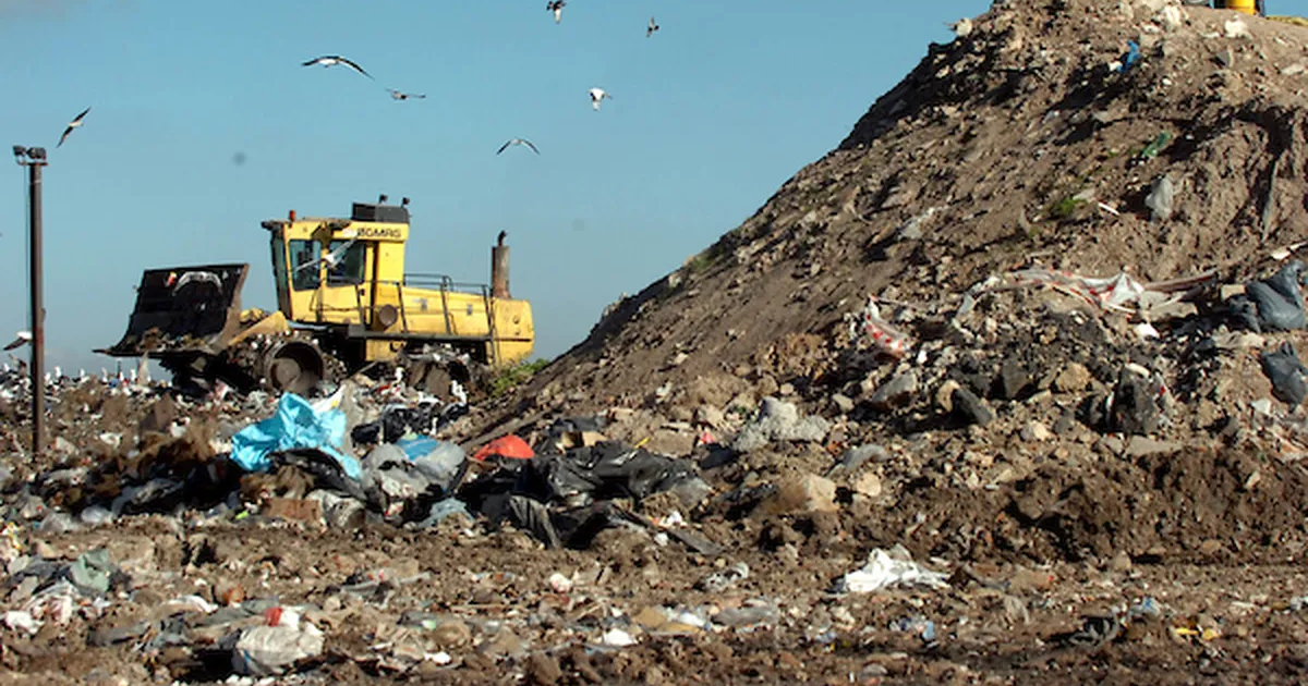 Encontraron un cuerpo entre la basura en la usina de Felipe Cardoso
