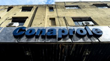 Productores de leche reclaman diálogo responsable y constructivo con sindicato y piden acciones al gobierno