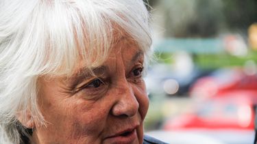 lucia topolansky aclaro que el mpp se pronuncio contra el plebiscito de la seguridad social