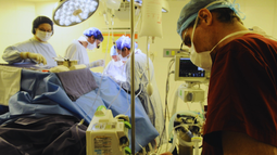 Sindicato Médico Quirúrjico sobre la LUC.&nbsp;