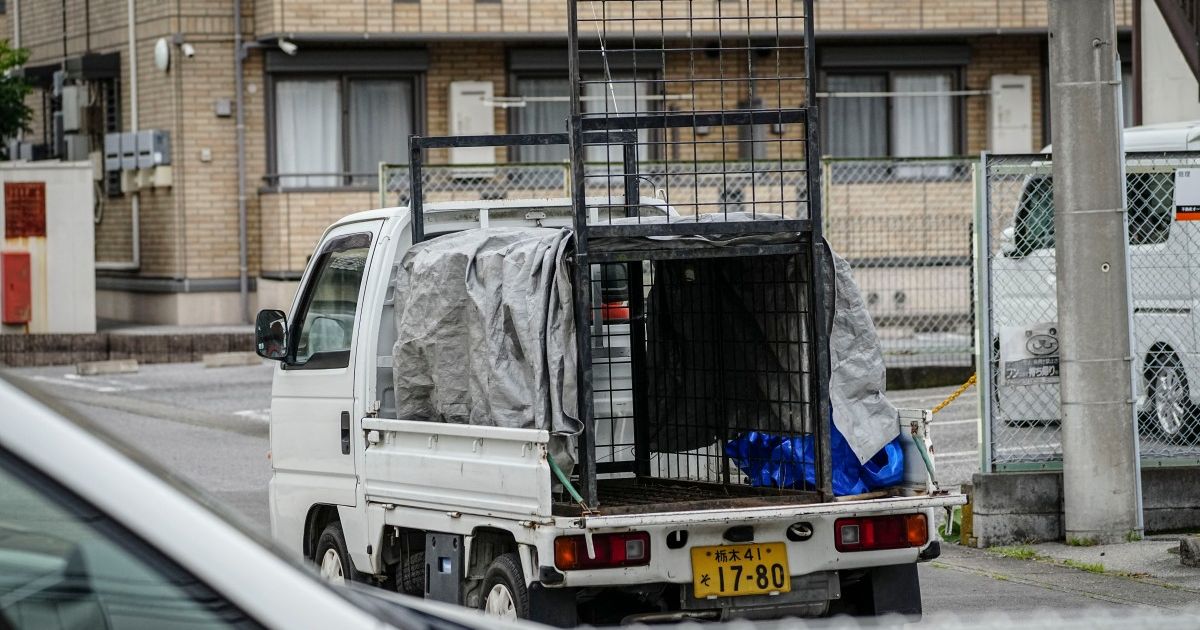 Capturaron al oso que tuvo en vilo a toda una ciud