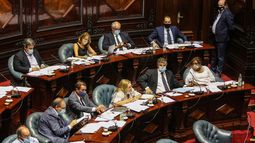 Senado aprobó con votos de todos los partidos la extensión de los jornales solidarios
