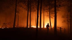 Uruguay enviará 40 bomberos uruguayos a Chile tras pedido de apoyo por incendios en Ñuble y Biobío