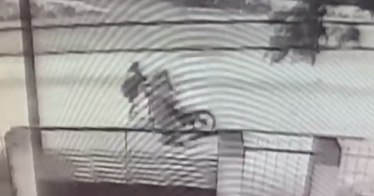 Condenaron a un adulto y a un menor por intento de rapiña a una policía y persecución en Flor de Maroñas