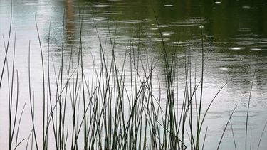 Viernes según Inumet.&nbsp;
