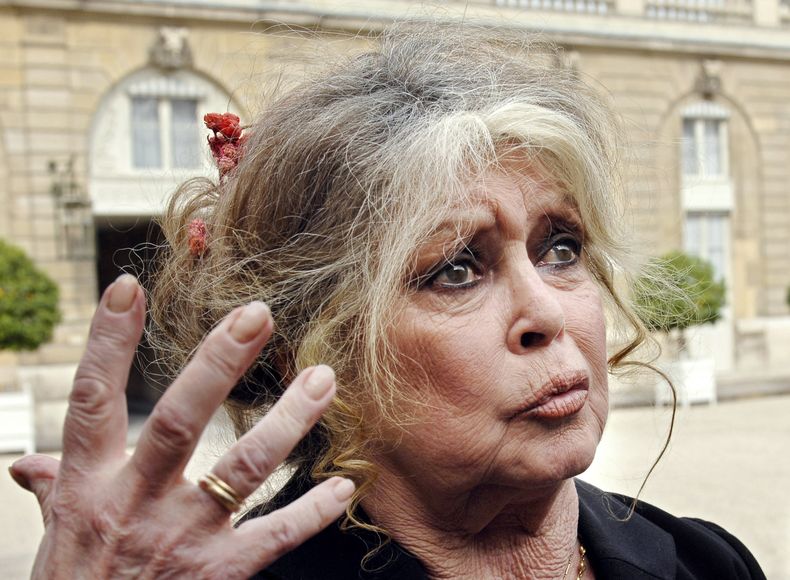 brigitte bardot