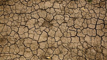 Déficit hídrico: Fratti dijo no se declarará la emergencia y las gremiales pidieron anticiparse