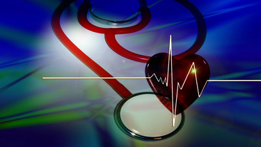 Salud cardiovascular.&nbsp;