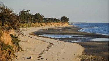 Gobierno electo ve con gran preocupación habilitación ambiental a Proyecto Arazatí