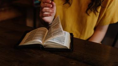 Reválida de títulos universitarios.