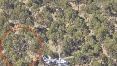 Qué se sabe sobre el choque entre dos aviones en el que murió un piloto de 59 años