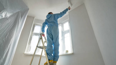 Refacciones subsidiadas por la Intendencia de Montevideo.&nbsp;