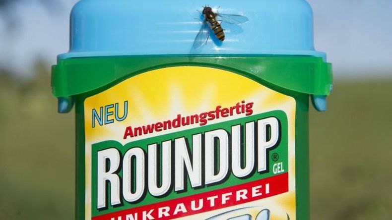 Monsanto perdió juicio millonario contra jardinero con cáncer terminal