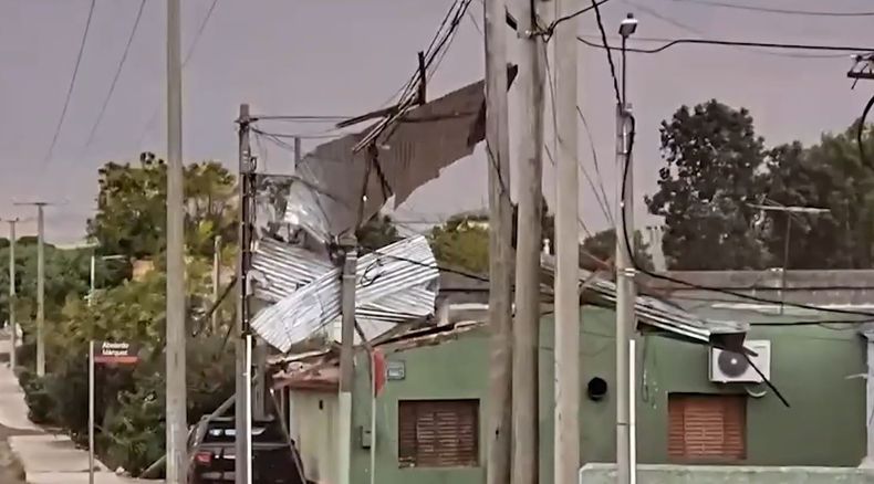 Temporal provocó destrozos en Rivera: hubo voladuras de techos y caída de árboles