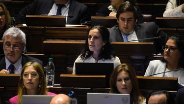 Azucena Arbeleche en plena interpelación del Frente Amplio.