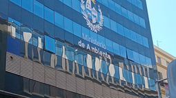 El Ministerio de Ambiente contrata a un profesional con un salario superior a los $116.000: ¿Cómo acceder?