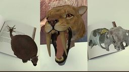 Científicos presentaron libro sobre megafauna