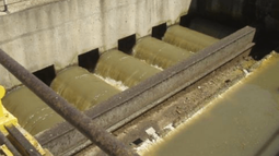 Nuevo cruce entre Martín Lema e intendente de Montevideo por colector de Punta Carretas