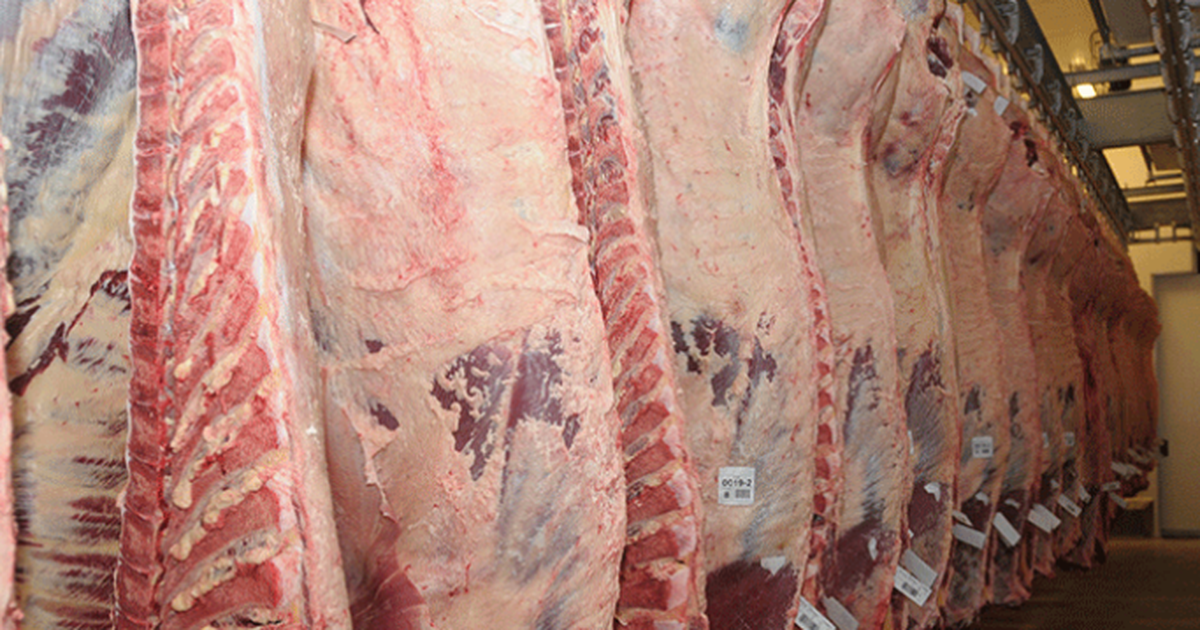 Días clave para la venta de carne a Europa: 