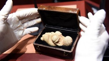 ¿Cómo se vinculan los museos de Viena con la plataforma erótica OnlyFans?