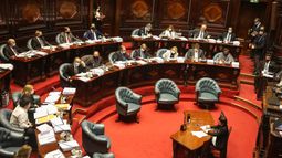 En vivo: Senado discute el proyecto de los jornales solidarios