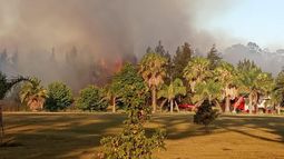 Incendio en Maldonado