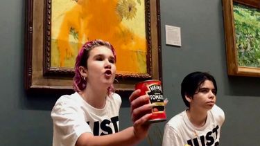 ecologistas tiraron sopa sobre los girasoles de van gogh