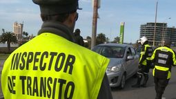 Los celulares: una distracción peligrosa en el tránsito