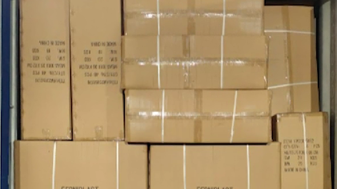 Incautaron más de 8.000 muñecas falsificadas en el Puerto de Montevideo