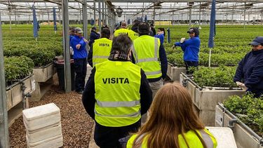 En junio de 2020 las autoridades de gobierno visitaron el vivero de UPM.